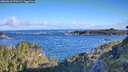 ./images/calvert/foggy-cove/20260610/foggy-cove20260610_074501M.jpg