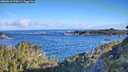 ./images/calvert/foggy-cove/20260610/foggy-cove20260610_075001M.jpg