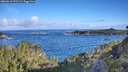./images/calvert/foggy-cove/20260610/foggy-cove20260610_075501M.jpg