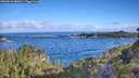 ./images/calvert/foggy-cove/20260610/foggy-cove20260610_080001M.jpg