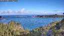 ./images/calvert/foggy-cove/20260610/foggy-cove20260610_080501M.jpg