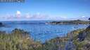 ./images/calvert/foggy-cove/20260610/foggy-cove20260610_081001M.jpg