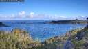 ./images/calvert/foggy-cove/20260610/foggy-cove20260610_081502M.jpg