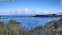 ./images/calvert/foggy-cove/20260610/foggy-cove20260610_082001M.jpg