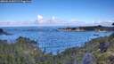 ./images/calvert/foggy-cove/20260610/foggy-cove20260610_082501M.jpg