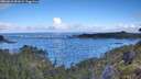 ./images/calvert/foggy-cove/20260610/foggy-cove20260610_083001M.jpg