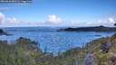 ./images/calvert/foggy-cove/20260610/foggy-cove20260610_083501M.jpg