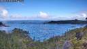 ./images/calvert/foggy-cove/20260610/foggy-cove20260610_084001M.jpg