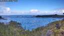 ./images/calvert/foggy-cove/20260610/foggy-cove20260610_084501M.jpg