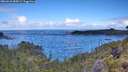 ./images/calvert/foggy-cove/20260610/foggy-cove20260610_085001M.jpg