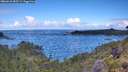 ./images/calvert/foggy-cove/20260610/foggy-cove20260610_085501M.jpg