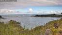 ./images/calvert/foggy-cove/20260610/foggy-cove20260610_092501M.jpg