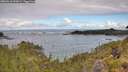 ./images/calvert/foggy-cove/20260610/foggy-cove20260610_093001M.jpg