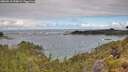 ./images/calvert/foggy-cove/20260610/foggy-cove20260610_094002M.jpg