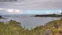 ./images/calvert/foggy-cove/20260610/foggy-cove20260610_100002M.jpg