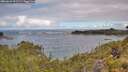 ./images/calvert/foggy-cove/20260610/foggy-cove20260610_101501M.jpg