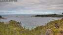 ./images/calvert/foggy-cove/20260610/foggy-cove20260610_104001M.jpg