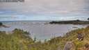 ./images/calvert/foggy-cove/20260610/foggy-cove20260610_105501M.jpg
