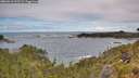 ./images/calvert/foggy-cove/20260610/foggy-cove20260610_112501M.jpg