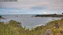 ./images/calvert/foggy-cove/20260610/foggy-cove20260610_113001M.jpg