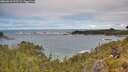 ./images/calvert/foggy-cove/20260610/foggy-cove20260610_113501M.jpg