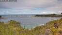 ./images/calvert/foggy-cove/20260610/foggy-cove20260610_114001M.jpg