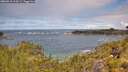./images/calvert/foggy-cove/20260610/foggy-cove20260610_114501M.jpg