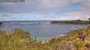./images/calvert/foggy-cove/20260610/foggy-cove20260610_115001M.jpg