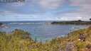 ./images/calvert/foggy-cove/20260610/foggy-cove20260610_115501M.jpg