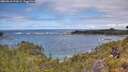 ./images/calvert/foggy-cove/20260610/foggy-cove20260610_120001M.jpg
