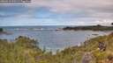 ./images/calvert/foggy-cove/20260610/foggy-cove20260610_120501M.jpg