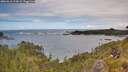 ./images/calvert/foggy-cove/20260610/foggy-cove20260610_122002M.jpg