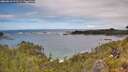 ./images/calvert/foggy-cove/20260610/foggy-cove20260610_122501M.jpg