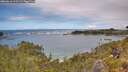 ./images/calvert/foggy-cove/20260610/foggy-cove20260610_123501M.jpg