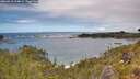 ./images/calvert/foggy-cove/20260610/foggy-cove20260610_124001M.jpg