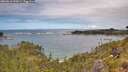 ./images/calvert/foggy-cove/20260610/foggy-cove20260610_125001M.jpg