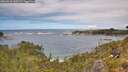 ./images/calvert/foggy-cove/20260610/foggy-cove20260610_130501M.jpg
