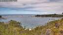 ./images/calvert/foggy-cove/20260610/foggy-cove20260610_131001M.jpg