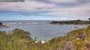./images/calvert/foggy-cove/20260610/foggy-cove20260610_131501M.jpg