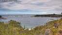 ./images/calvert/foggy-cove/20260610/foggy-cove20260610_134001M.jpg