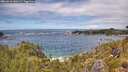 ./images/calvert/foggy-cove/20260610/foggy-cove20260610_140501M.jpg