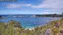 ./images/calvert/foggy-cove/20260610/foggy-cove20260610_141001M.jpg