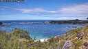 ./images/calvert/foggy-cove/20260610/foggy-cove20260610_142001M.jpg