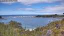 ./images/calvert/foggy-cove/20260610/foggy-cove20260610_143001M.jpg