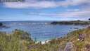 ./images/calvert/foggy-cove/20260610/foggy-cove20260610_143502M.jpg