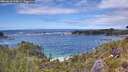 ./images/calvert/foggy-cove/20260610/foggy-cove20260610_144001M.jpg