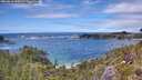 ./images/calvert/foggy-cove/20260610/foggy-cove20260610_144501M.jpg