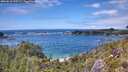 ./images/calvert/foggy-cove/20260610/foggy-cove20260610_145501M.jpg