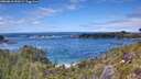 ./images/calvert/foggy-cove/20260610/foggy-cove20260610_150502M.jpg