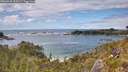 ./images/calvert/foggy-cove/20260610/foggy-cove20260610_152001M.jpg